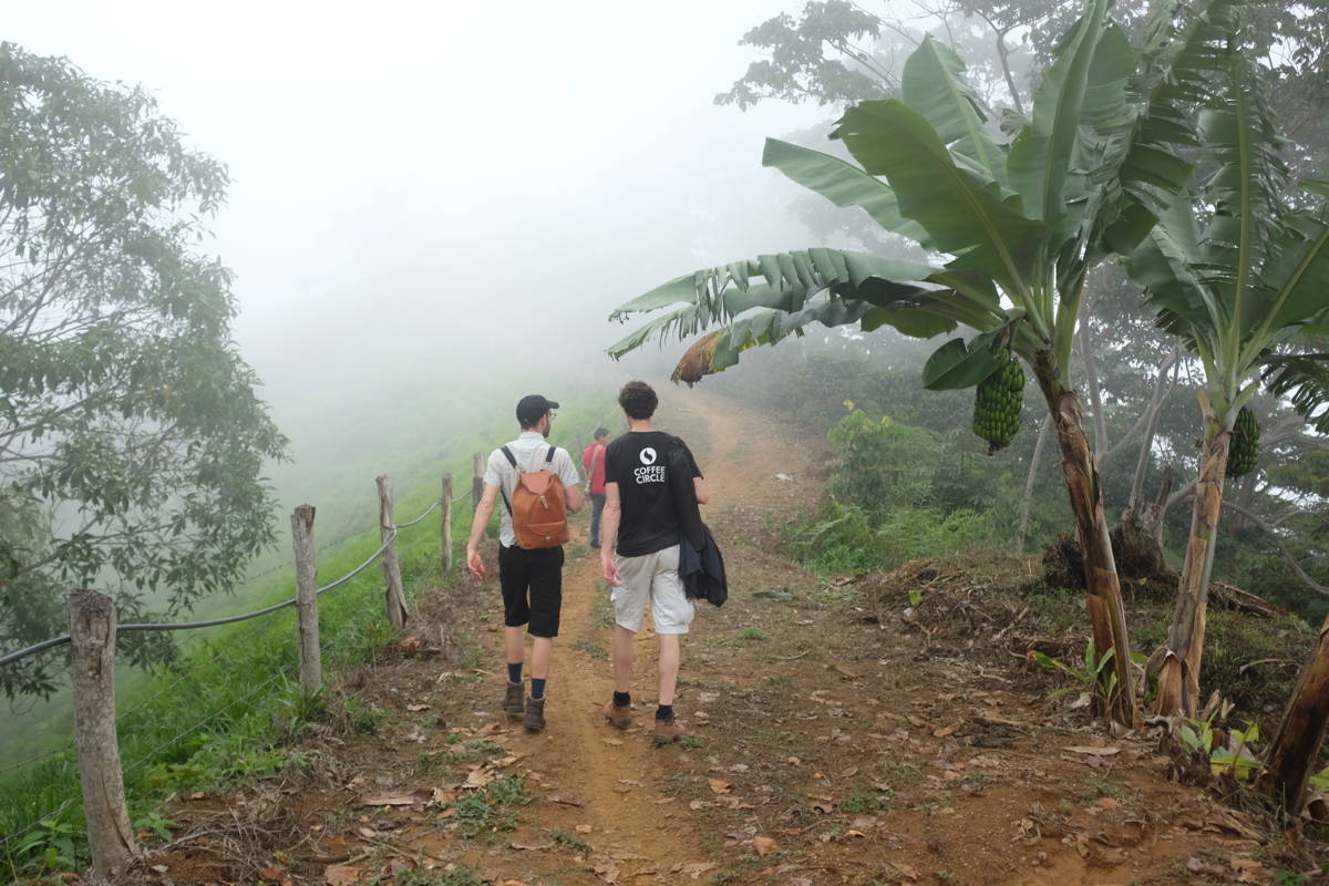 Beim Erschließen der Landschaft in Sierra Nevada