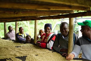 house blend 4.jpg
