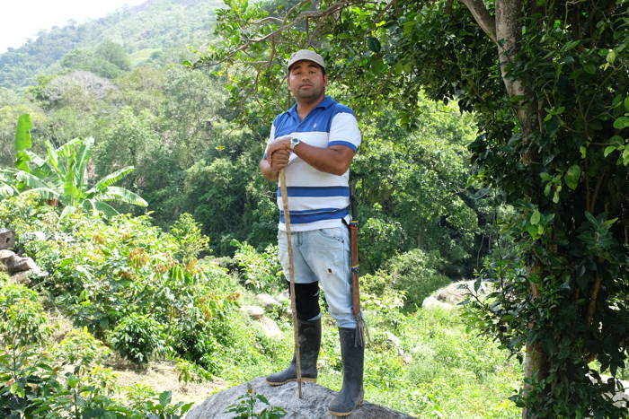 Eine Tour durch die Natur Kaffeeanbau in Kolumbien