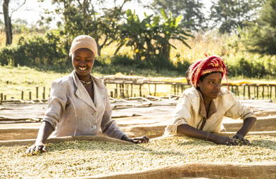 coffeecircle-fairtrade-unterschied