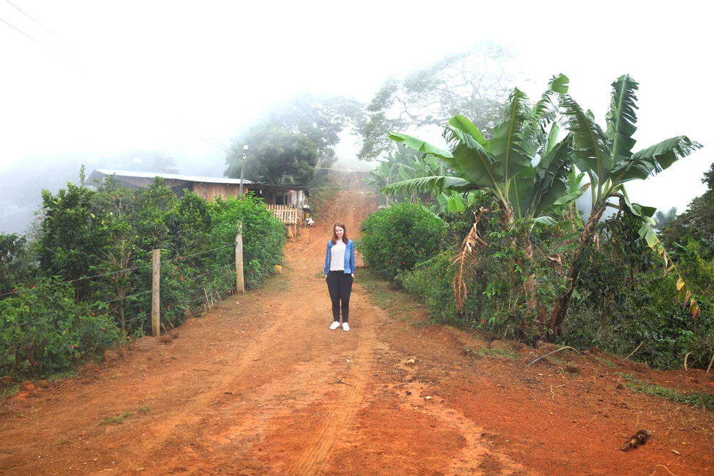 Titelbild Reisbericht Kolumbien