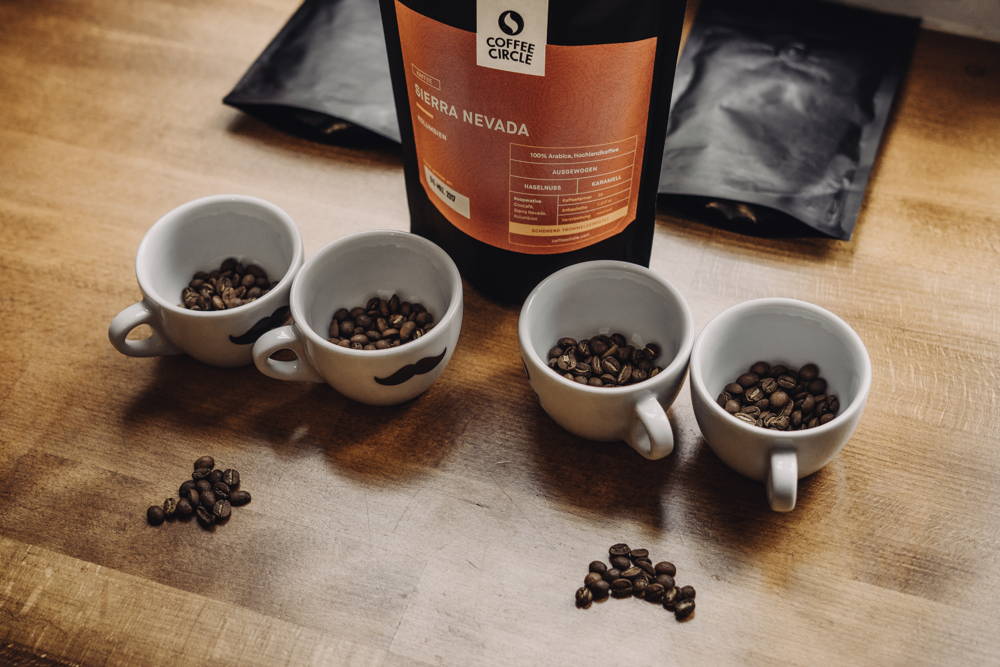 Das Cupping Sierra Nevada beim Cupping