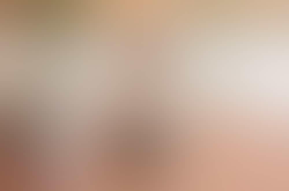 Hario v60 – Ein Filter, drei Charaktere | Coffee Circle