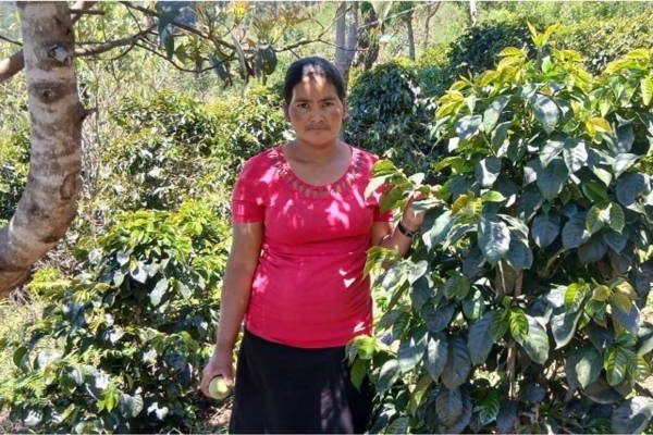 Marisa Dilcia Vasquez steht inmitten ihrer Kaffeepflanzen in La Piedra, Honduras