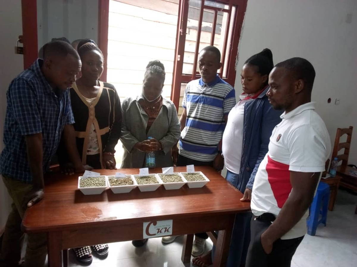 CuppingLab_Butembo_Kongo3.jpg