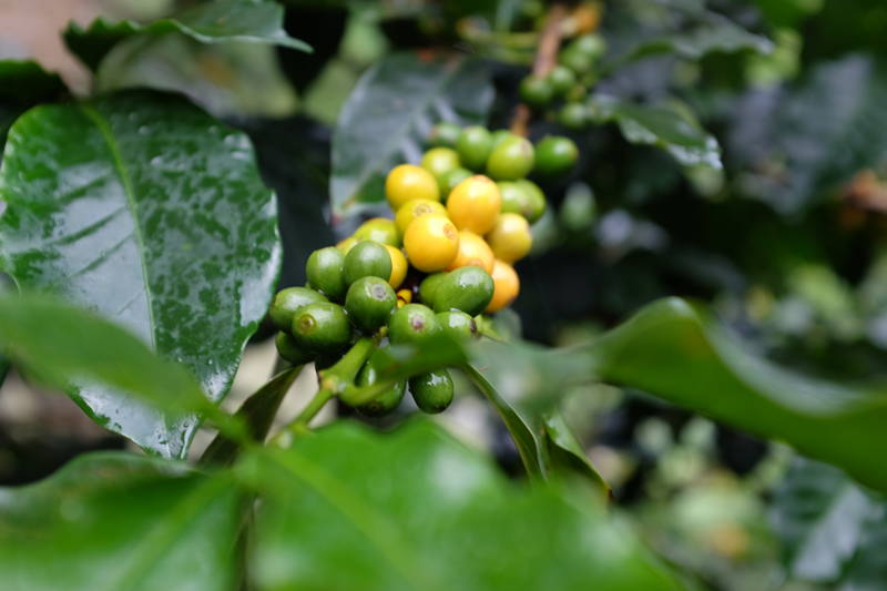 Unterwegs in Kolumbien