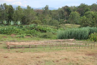 Reise zu der Kooperative Drying Beds