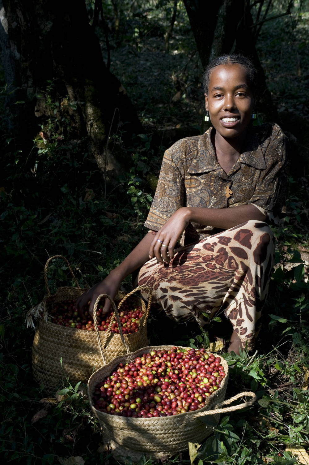 Kaffeeernte in Äthiopien