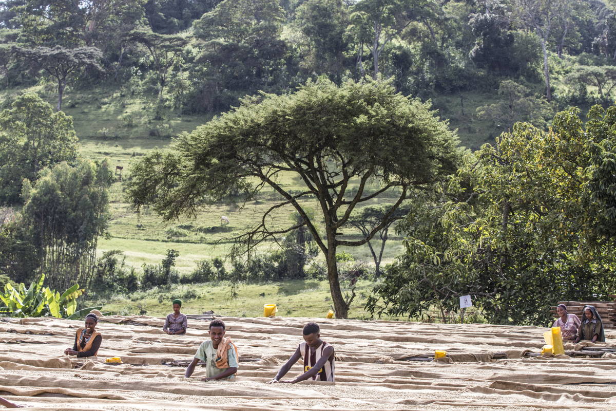 Unsere Reise nach Äthiopien Coffeecircle in Äthiopien