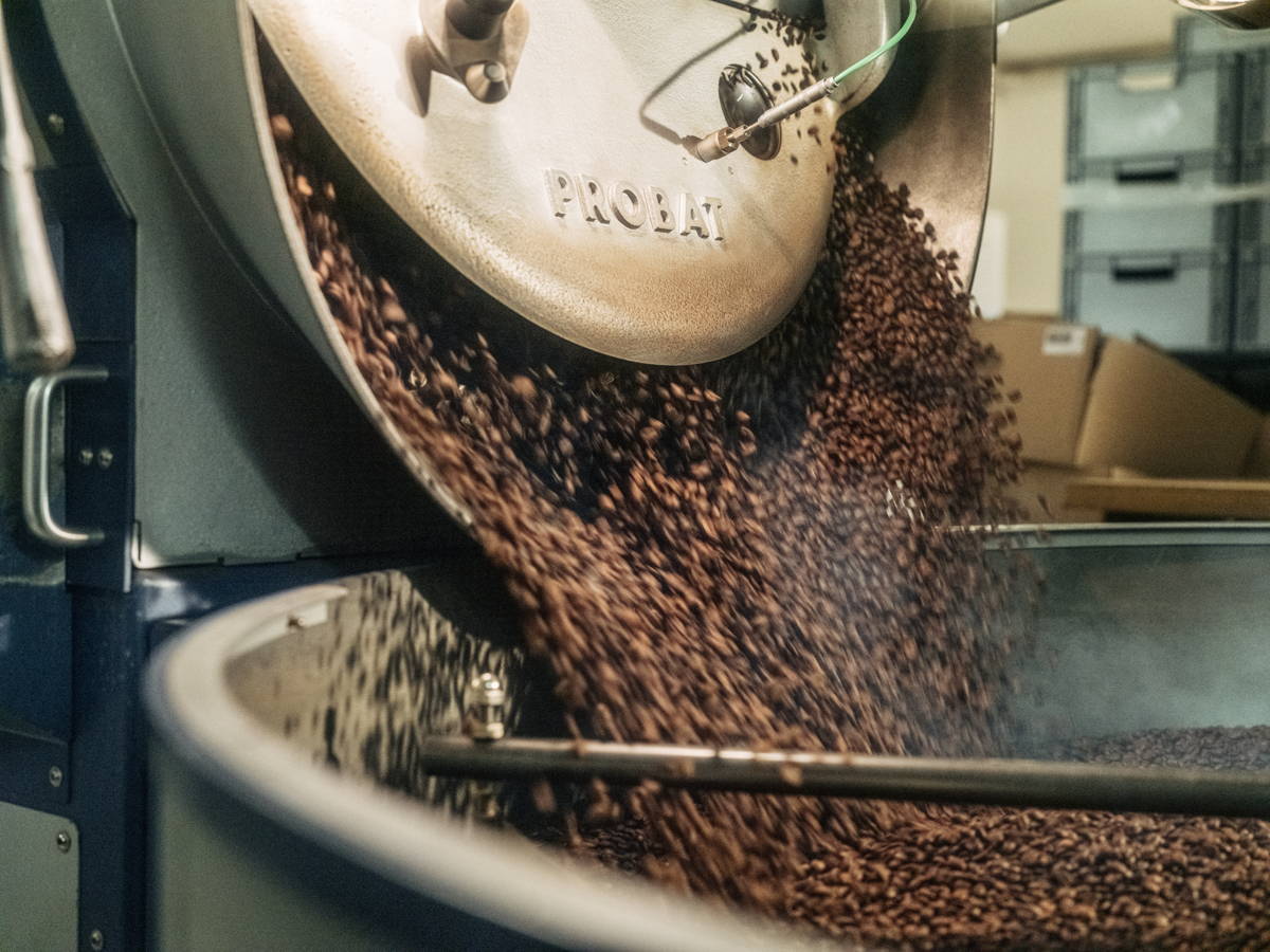 Bohnen nach der Röstung in der Rösterei