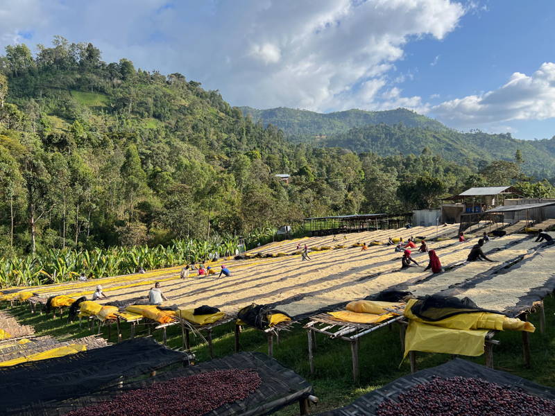 coffee-circle-foundation-project-selection-2024