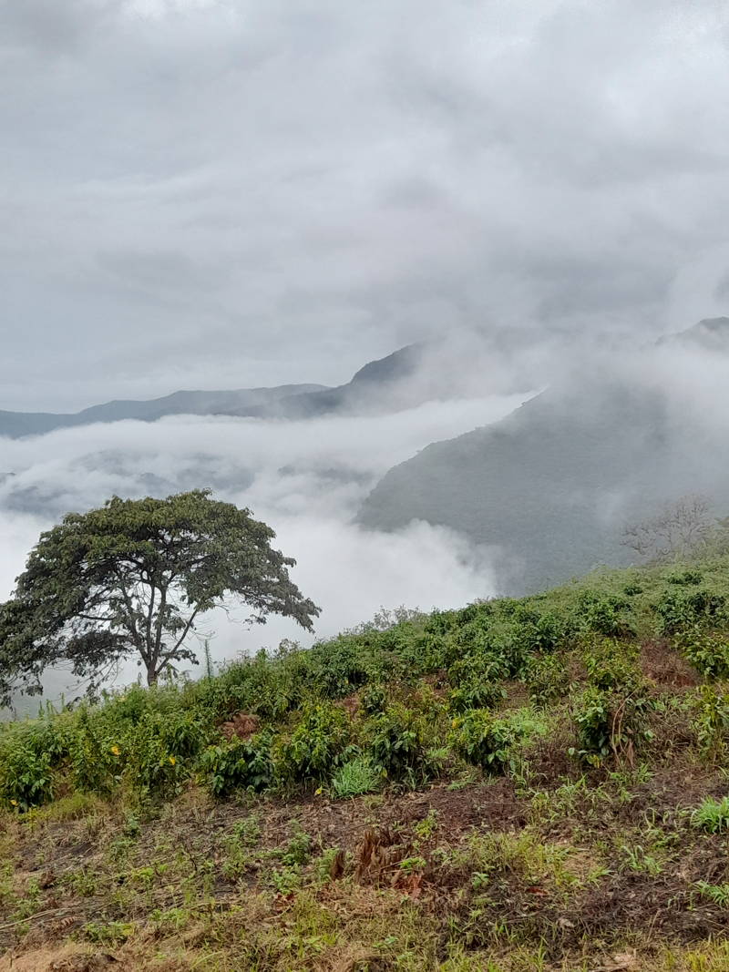 San José, Cochabamba, Bolivia