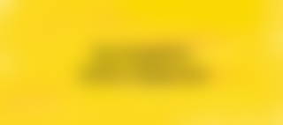 PDM_Gelb_LP_header-01 (1).png