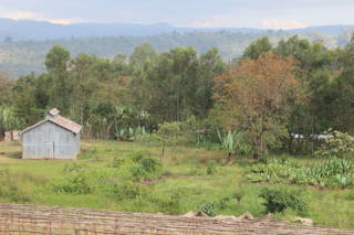 In Äthiopien Reise in die Yirgacheffe Region