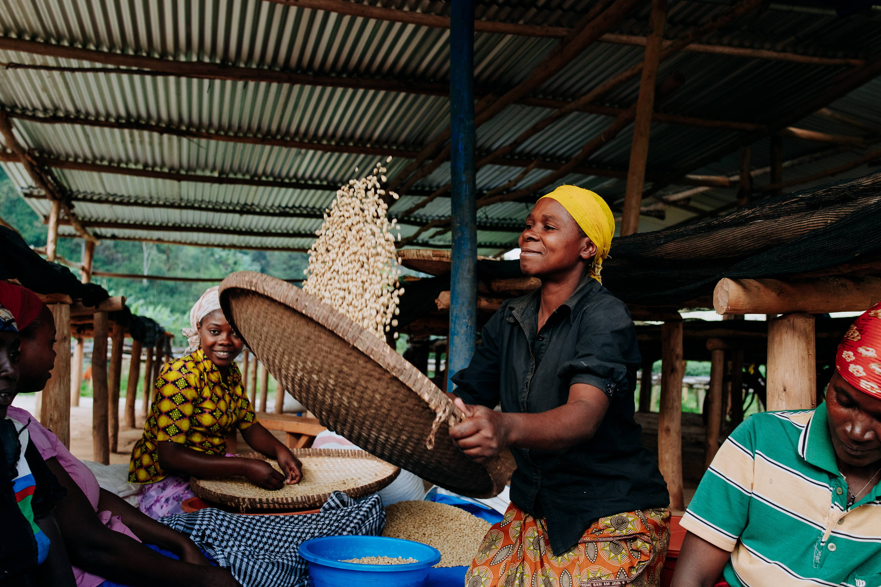 Farmer:innen der Vunga CWS, Muraho Co., Ruanda verarbeiten Kaffeebohnen
