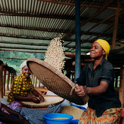 Farmer:innen der Vunga CWS, Muraho Co., Ruanda verarbeiten Kaffeebohnen