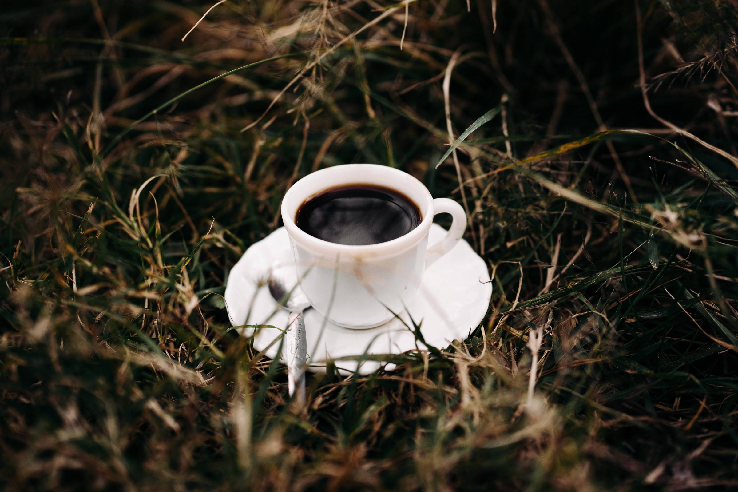 Kaffee im Spotlight