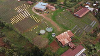 Dryingbeds und farm in Thiririka