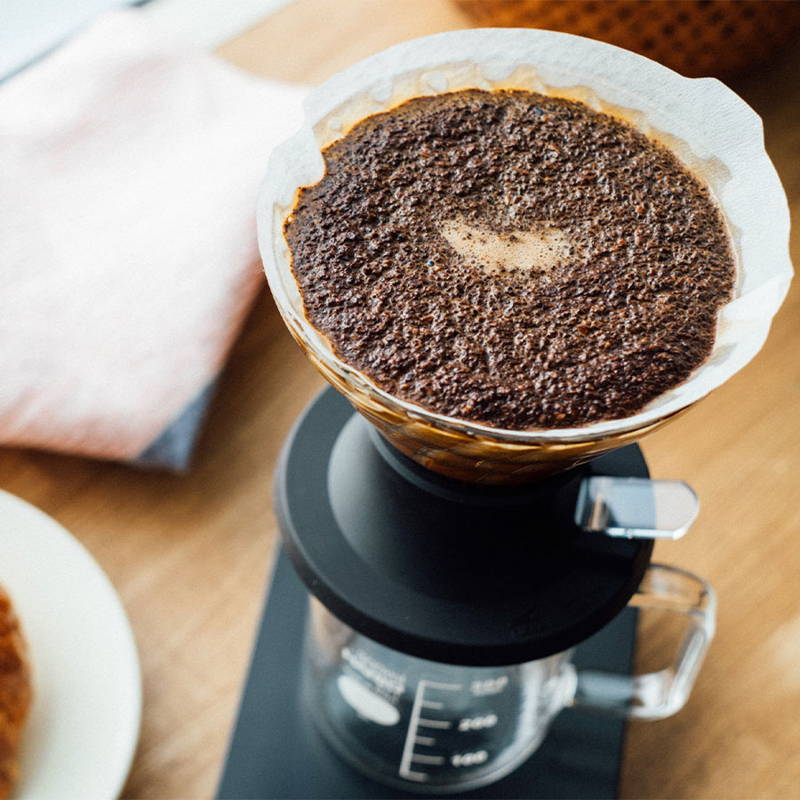 Nahaufnahme eines Kaffee-Drippers aus Glas während des Brühvorgangs. Der Filter ist mit feuchtem Kaffeemehl gefüllt, das gleichmäßig verteilt ist (Bloom-Phase), platziert auf einer schwarzen Basis über einer Glaskaraffe.