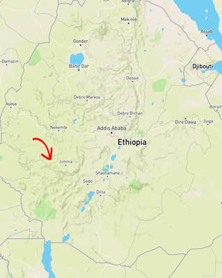 Coffee Map Biftu Gudina Hier beziehen wir den Kaffee her