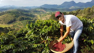 coffeecircle-vibrant-brazil-kaffeefarmer-jatoba-9.jpeg