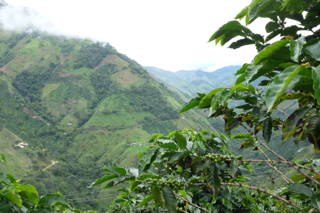 In Tolima Atemberaubender Ausblick