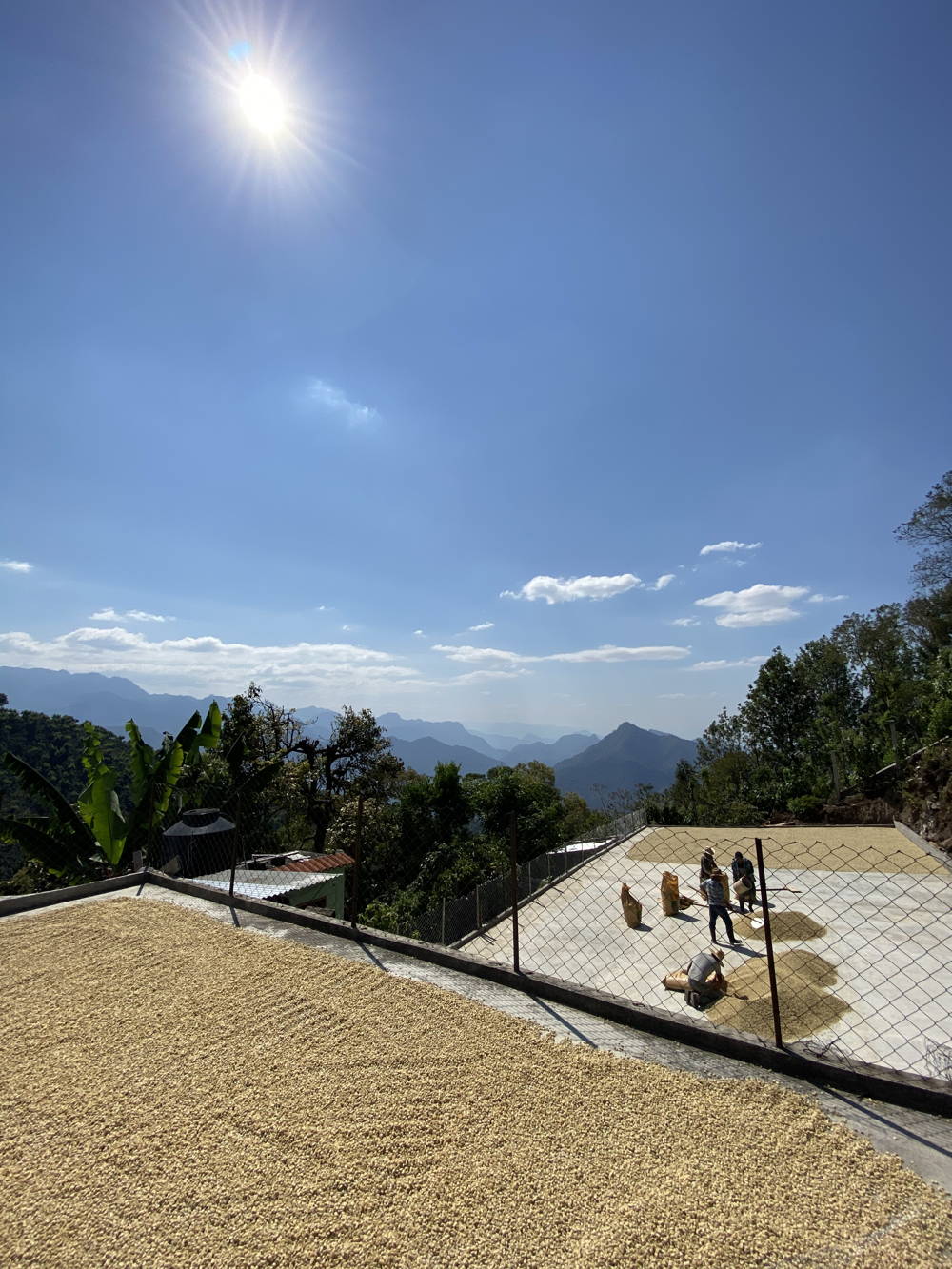 Guatemala Origin Guatemala Origin
