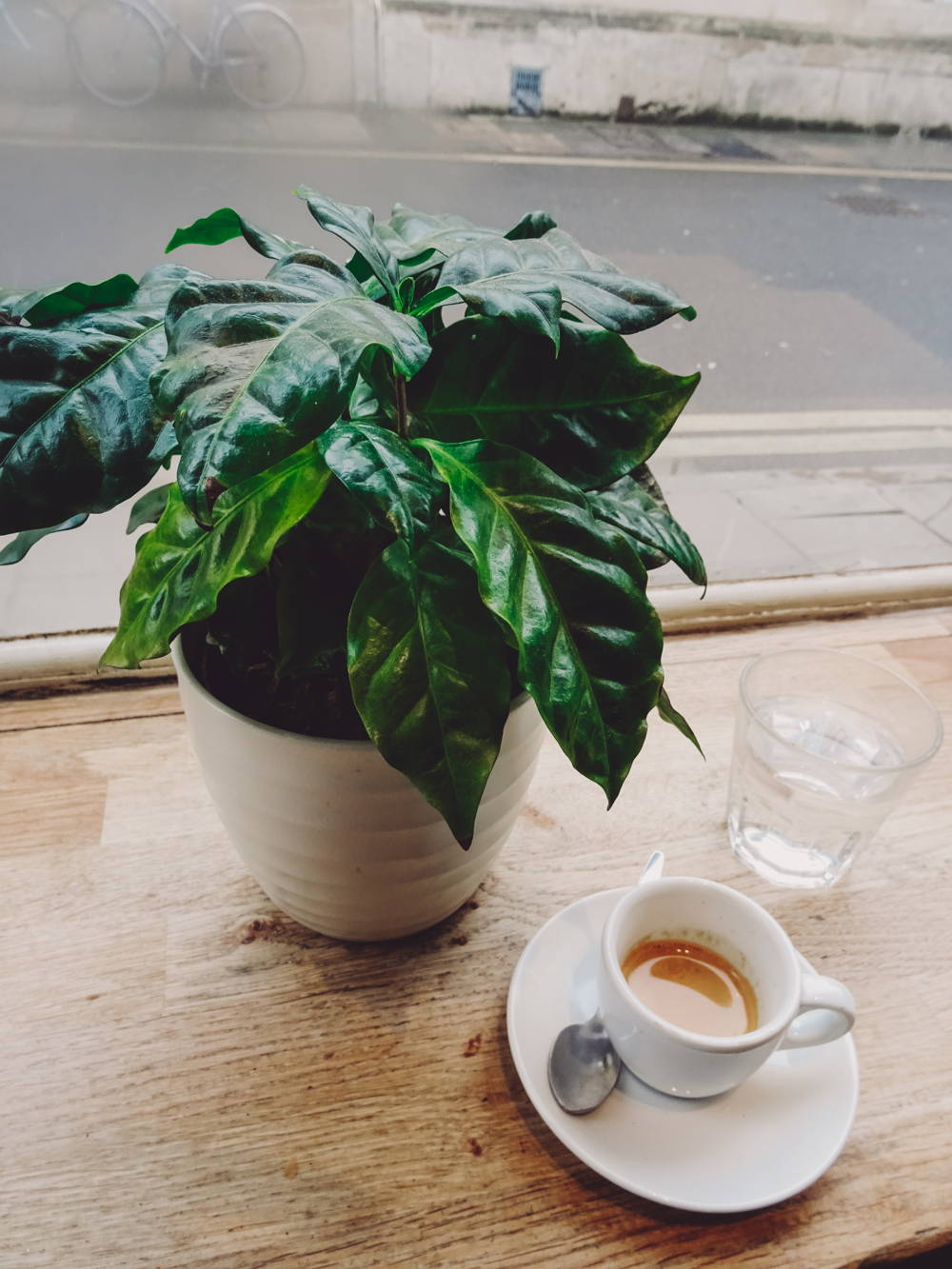 Espresso in The Missing Bean Espresso in The Missing Bean