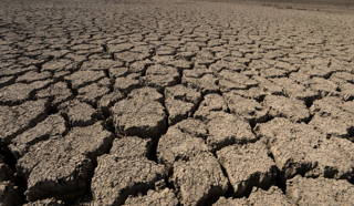 Die ausgetrockneten Böden