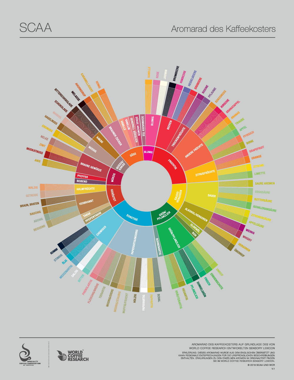 Flavor Wheel Flavour Wheel der SCAA