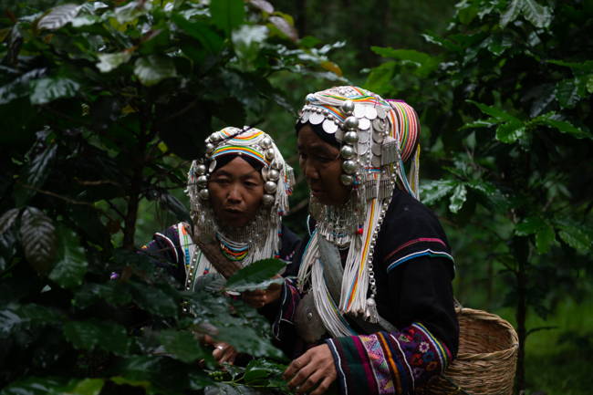 coffee-circle-jadae-myanmar-kaffee-8.jpg