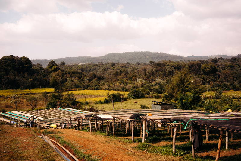 So sieht es in unserer Kooperative in Jimma aus