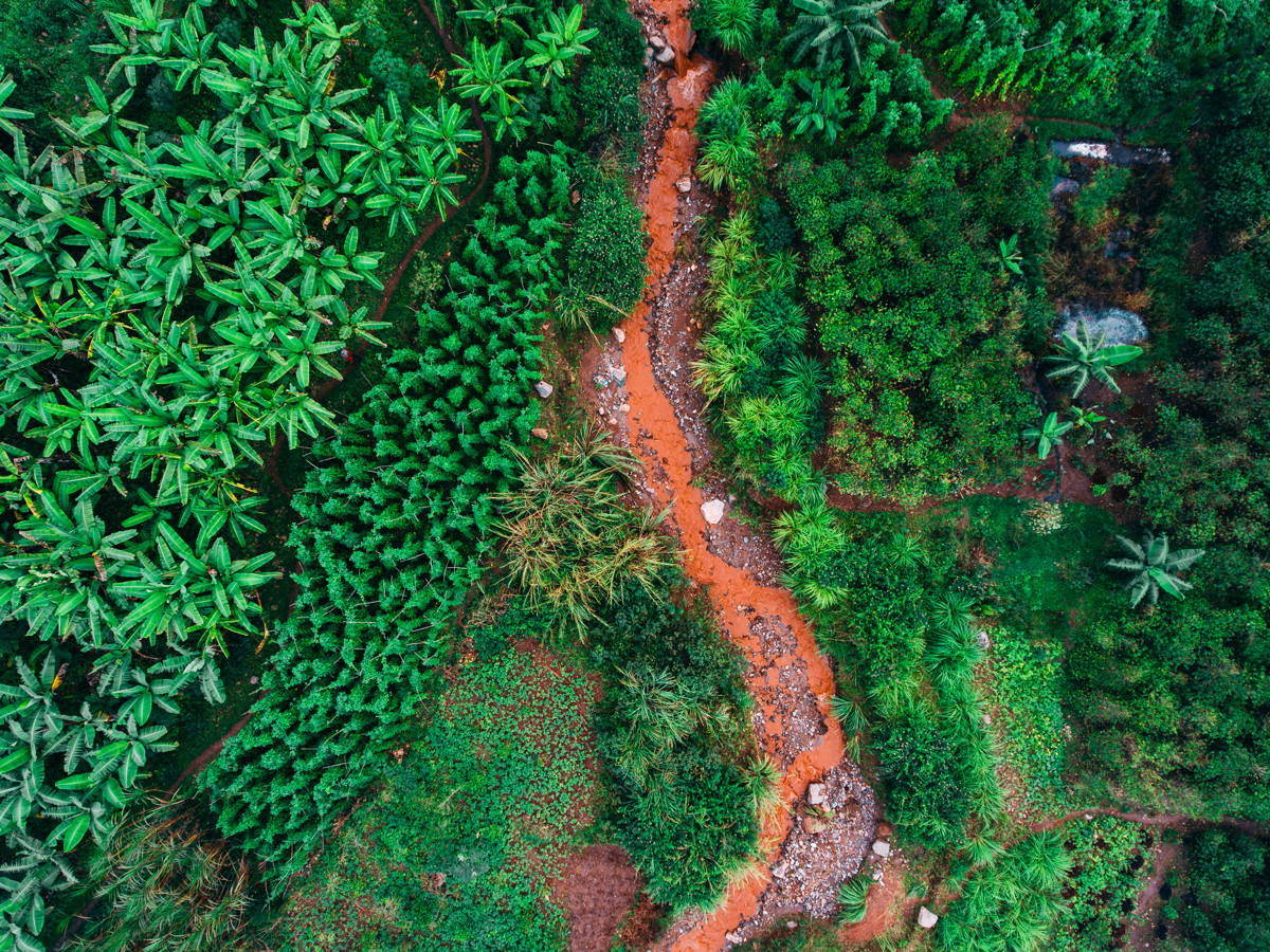 Vunga CWS, Muraho Co., Ruanda