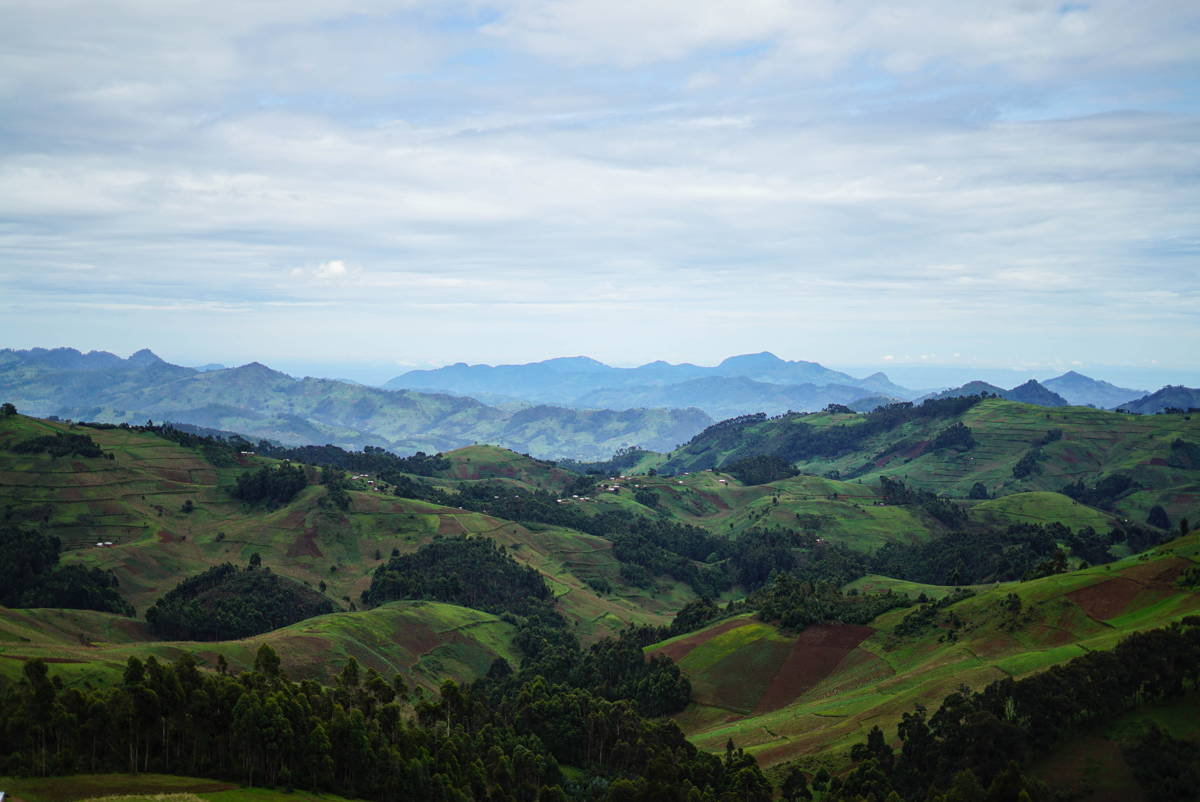 02-coffeecircle-kongo-kawa-kabuya-4.jpg