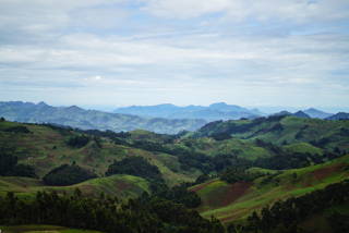 02-coffeecircle-kongo-kawa-kabuya-4.jpg