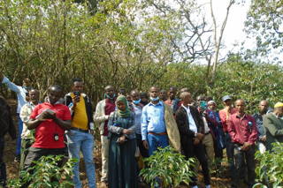 Projekt zur Biodiversität in Jimma, Äthiopien