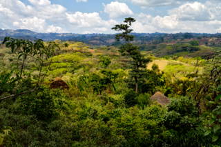Atemberaubende Landschaft Coffee Circle reist nach Äthiopien