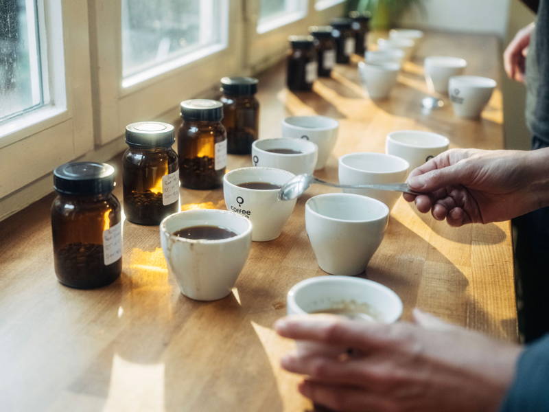 Cupping or coffee tasting of different coffees
