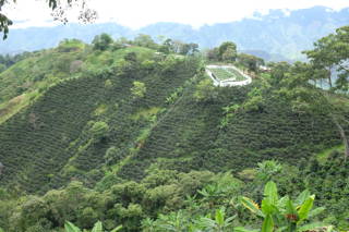 Kaffeeanbaugebiete in Kolumbien