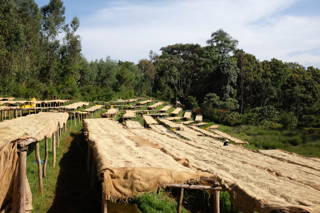 So sehen Drying Beds aus Sonnentrocknung