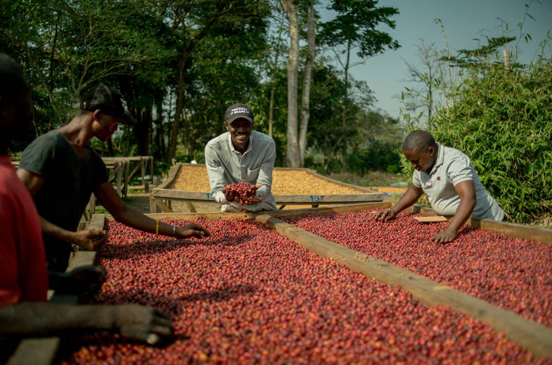 Mamy Dioubaté mit seinem Team bei der Ernte 2022