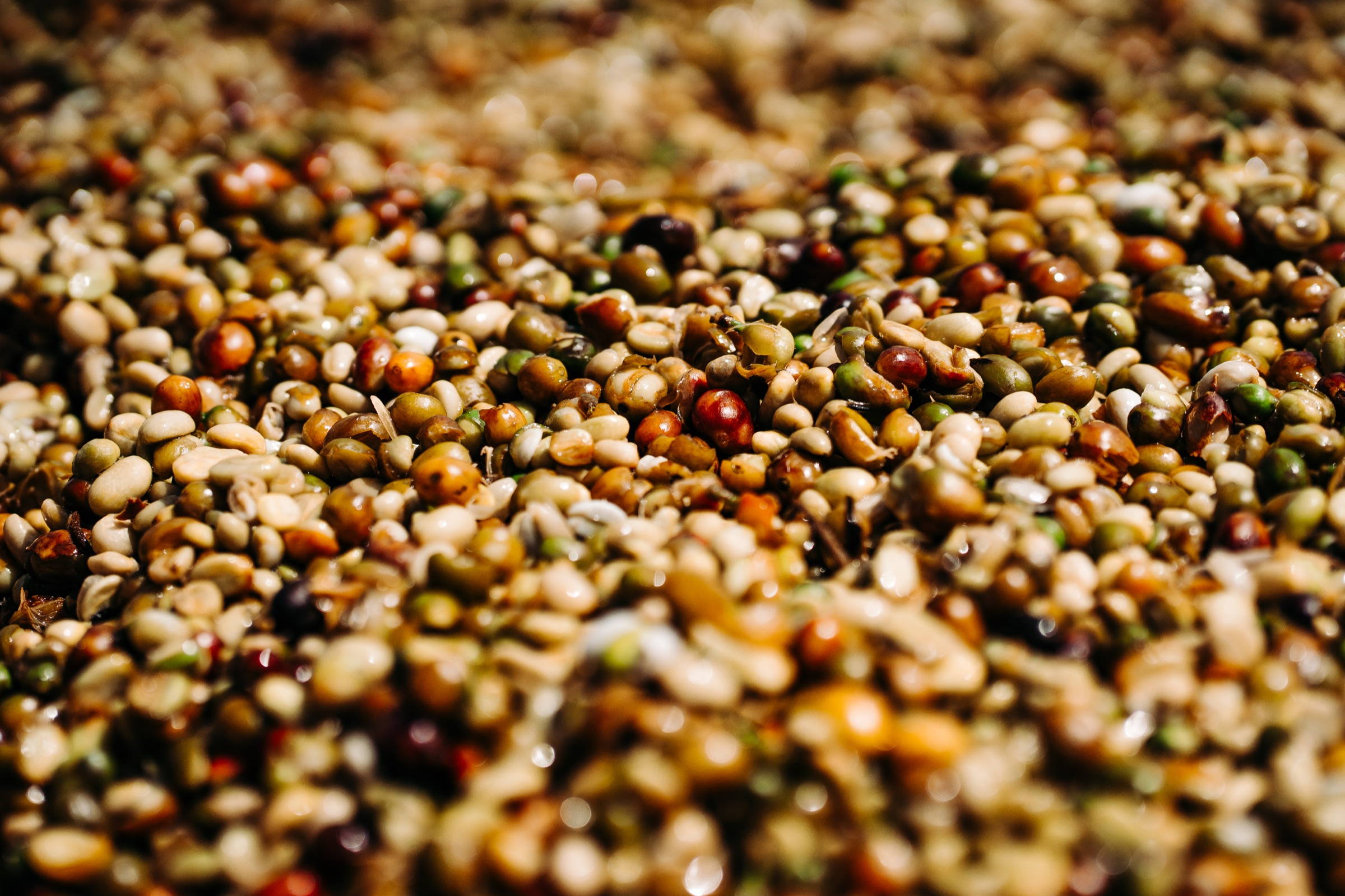 Schnelle Verarbeitung