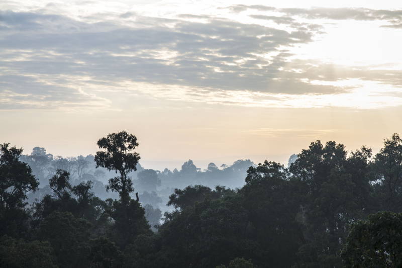 Coffee Circle reist nach Äthiopien