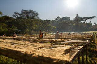 Drying Beds Drying Beds zum Trocken der Kaffees im äthiopischen Hochland