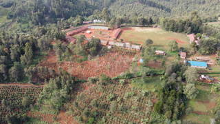 Thiririka Origin Thiririka Origin