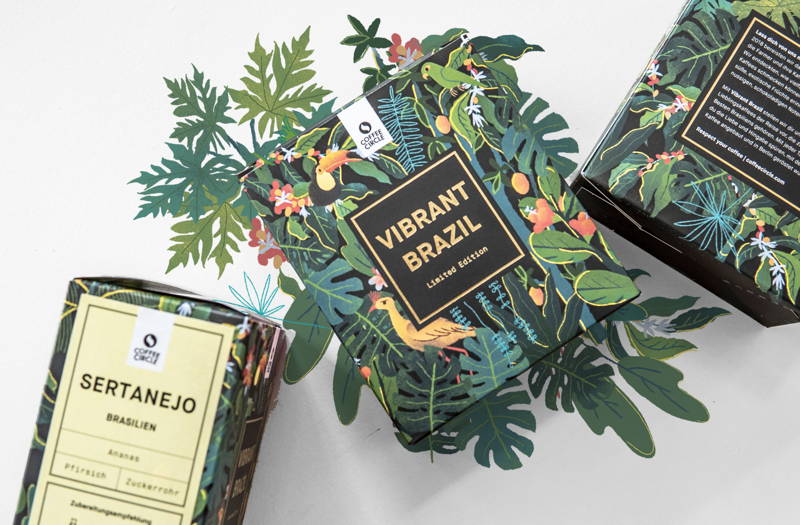 Vibrant Brazil Package