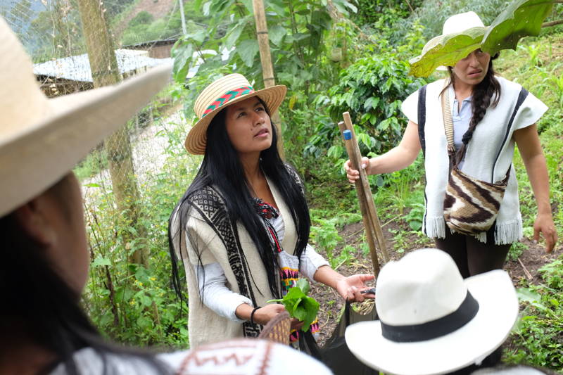 Zu Besuch in Kolumbien