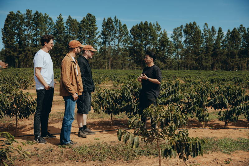 Martin, Hannes, and Robert looking at coffee plants at Daterra 2025