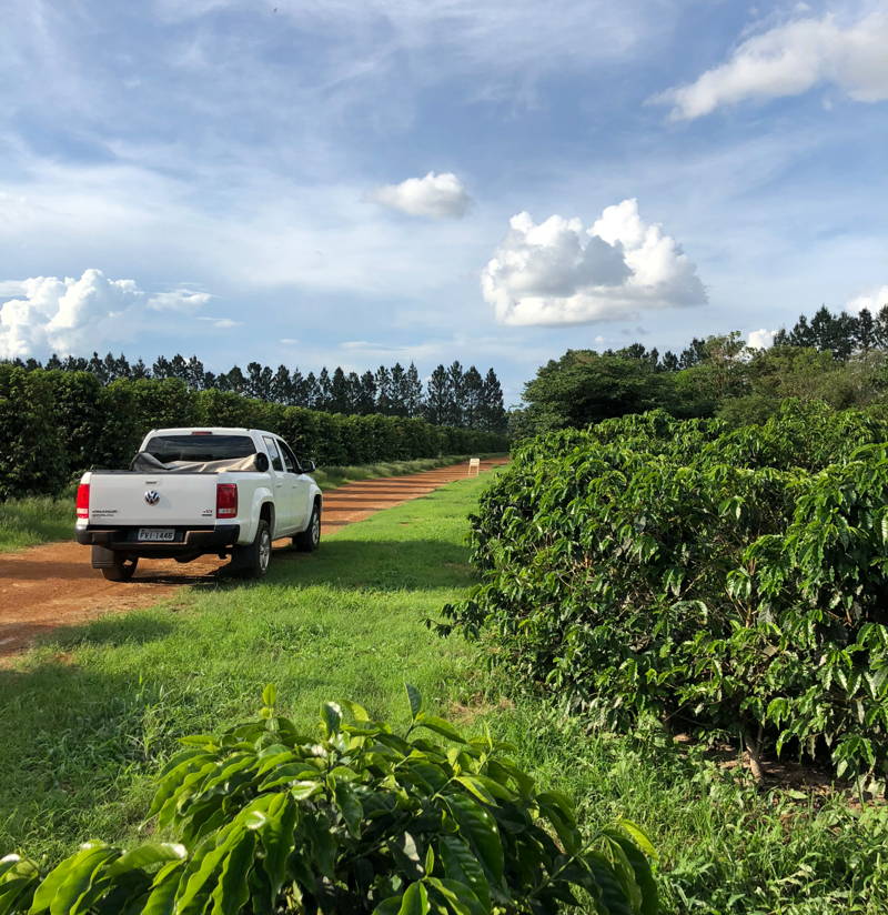 Mit dem Jeep durch die Kaffeeplantagen