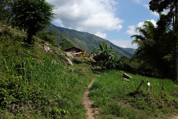 Hoch oben Kaffeeanbaugebiete in Kolumbien